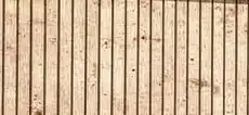 Holzart 4